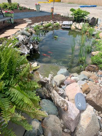 Images Backyard Oasis Pond & Garden Center