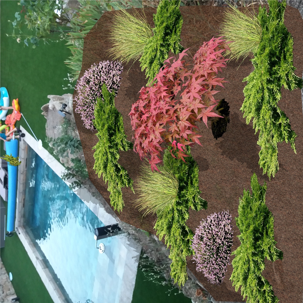 Images Sdl Investigacion Y Divulgacion Del Medio Ambiente S.L.