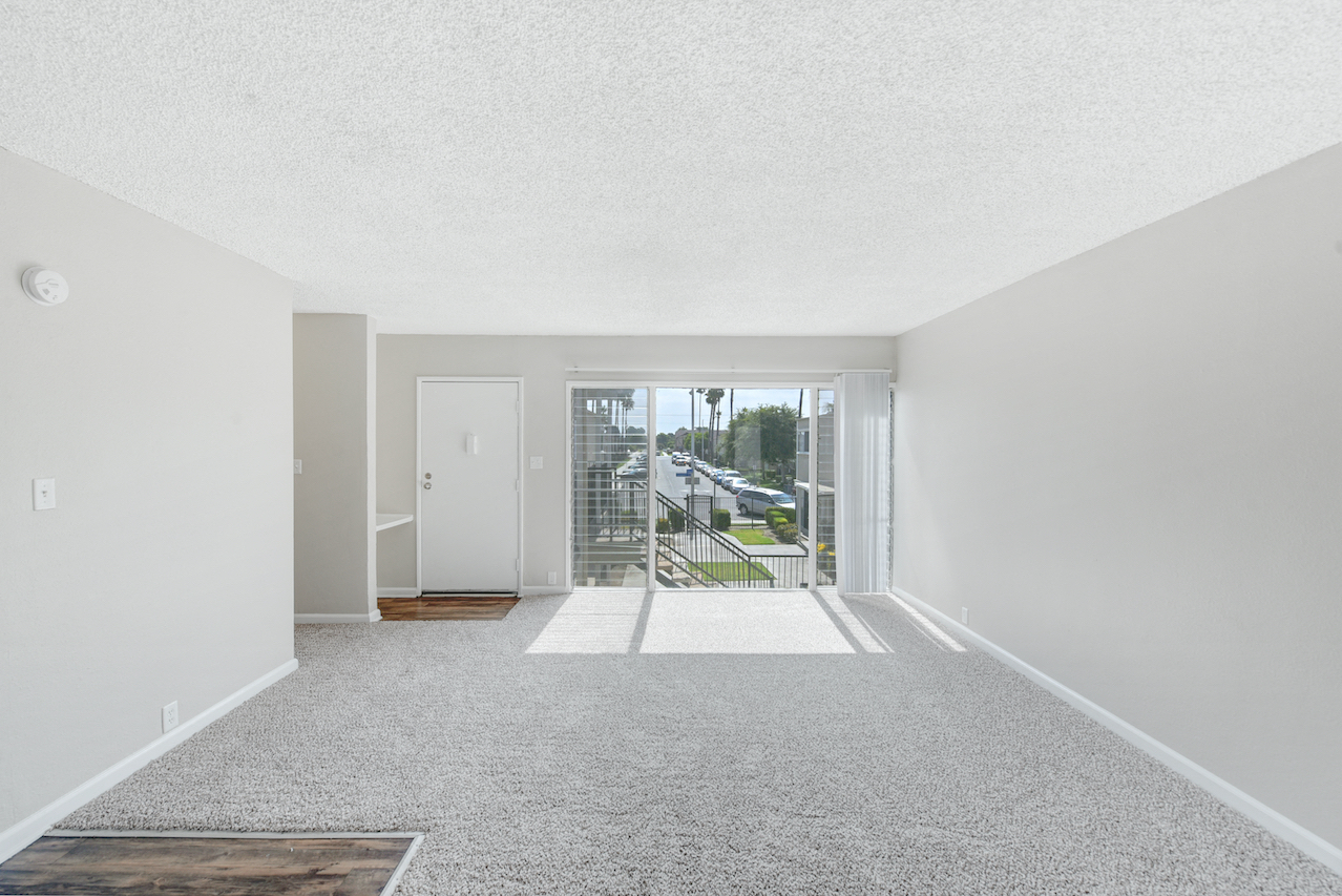 Carpeted Living Area