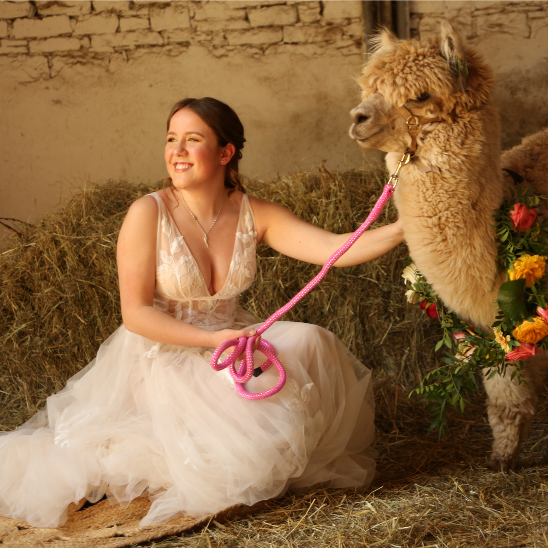 Zaubermomente - dein Brautatelier (Second Hand Brautmode), Sindelfinger Str. 19 in Böblingen