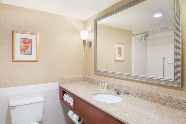 Images Holiday Inn & Suites Cincinnati-Eastgate (I-275E) by IHG
