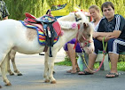 Images Star Ridge Stables