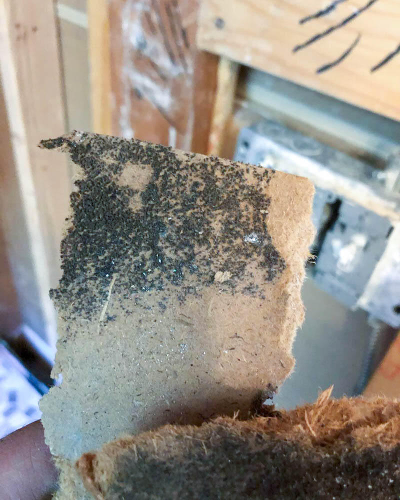 Mold is more likely to grow in unexpected places after water damage. If you ignore the mold, it may spread and continue to grow. SERVPRO of North Chandler is your best choice for all of your mold cleanup and remediation needs in  North Chandler, AZ, . Give us a call today!