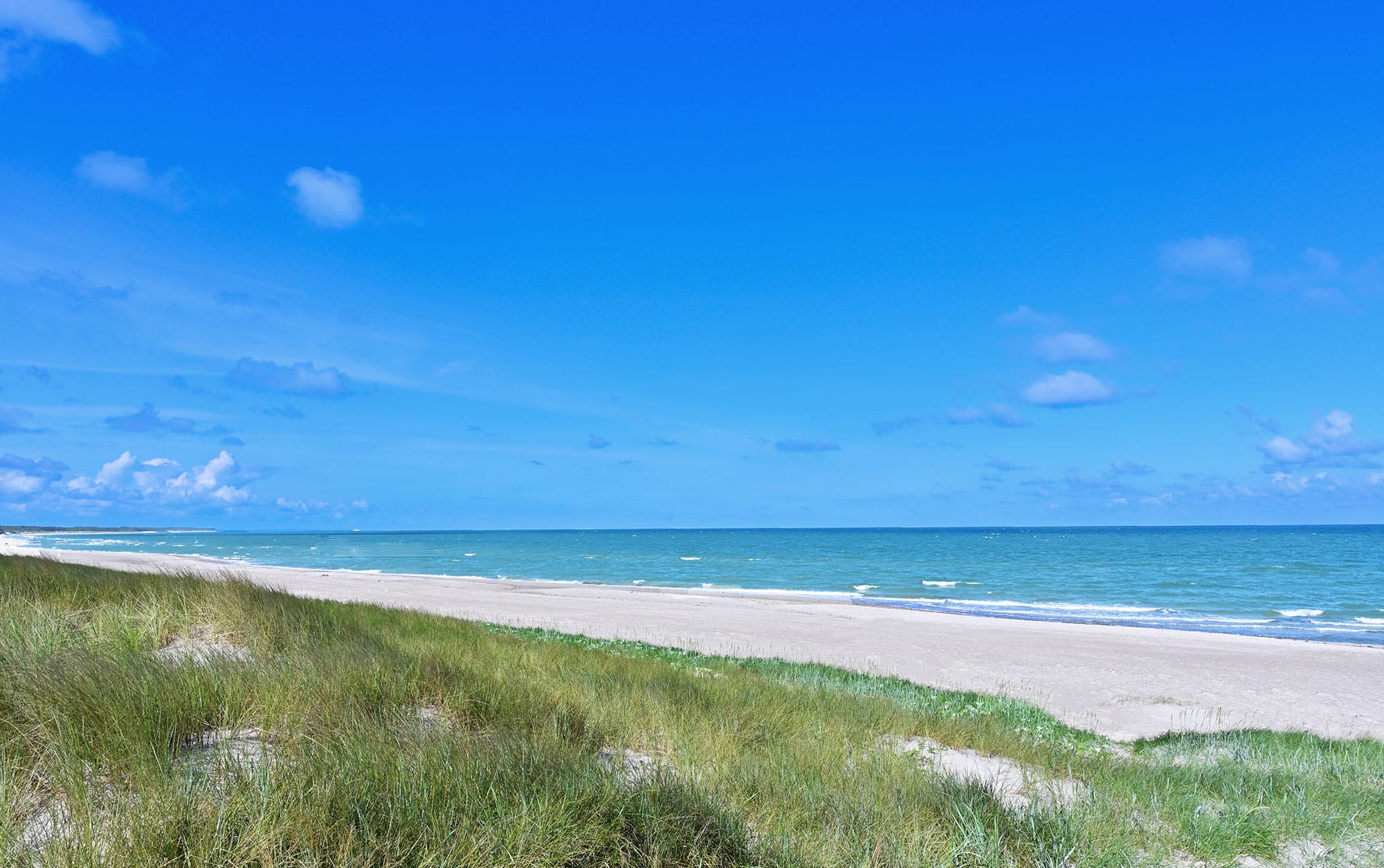 Strandhaus Fischland Darss Ferienwohnungen, Dünenweg 41 in Dierhagen (Ostseebad)
