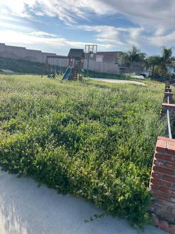 Images Palacios Landscaping
