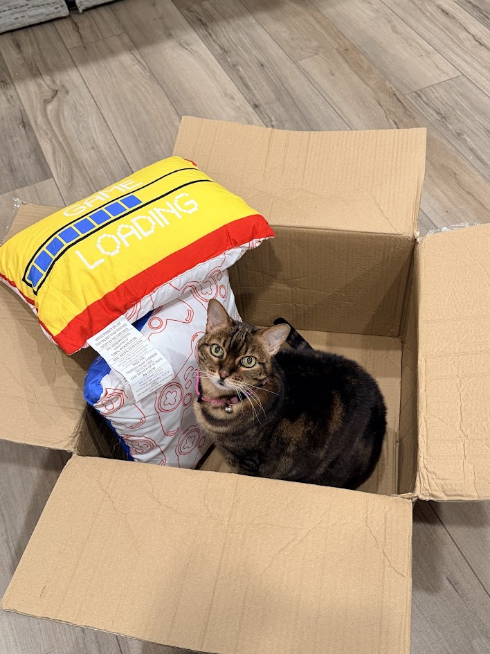 Dr. Stephanie Beeson, Owner of CityVet | Carmel's cat KitKat