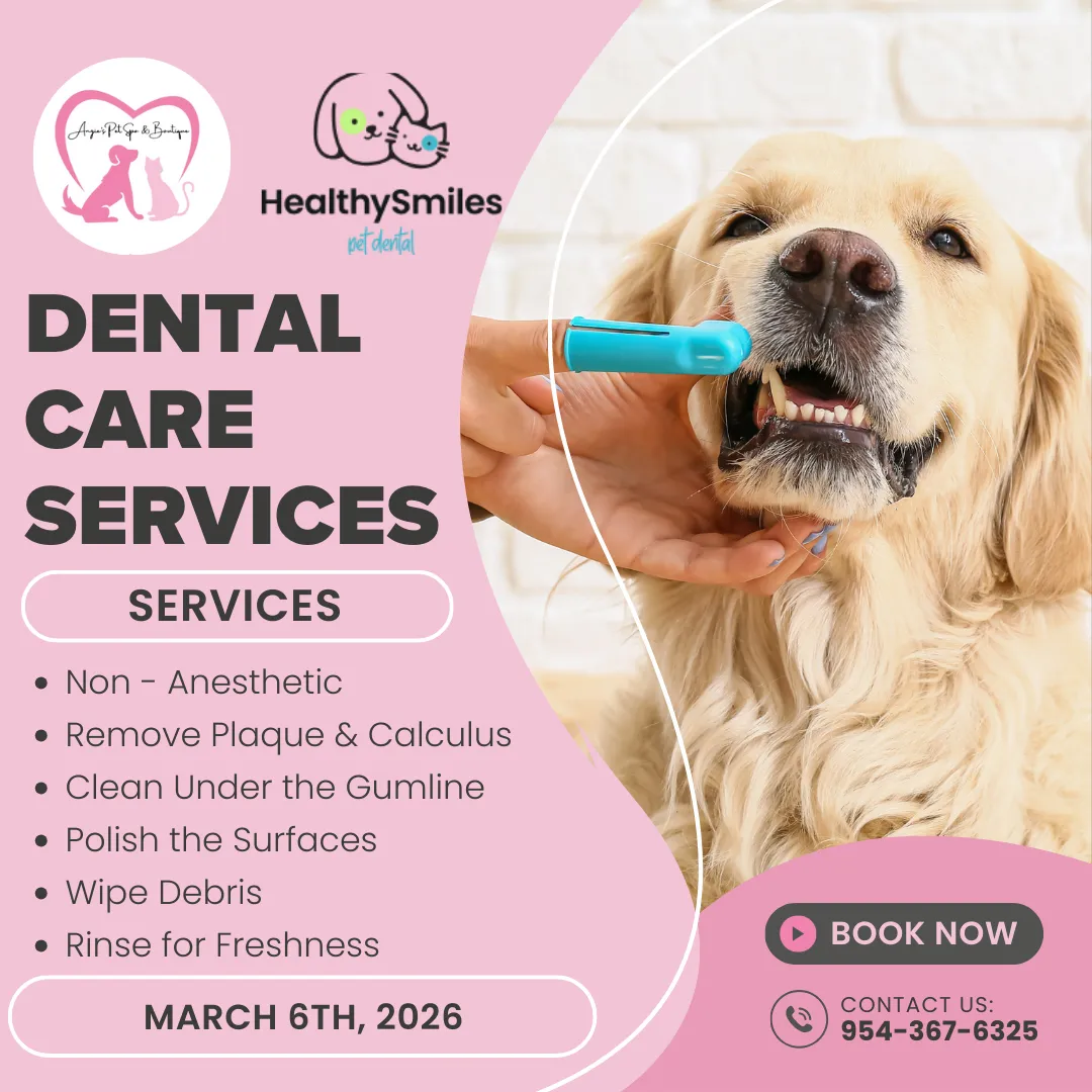 Image of Local Pet Event Pet Dental Friday Nearby