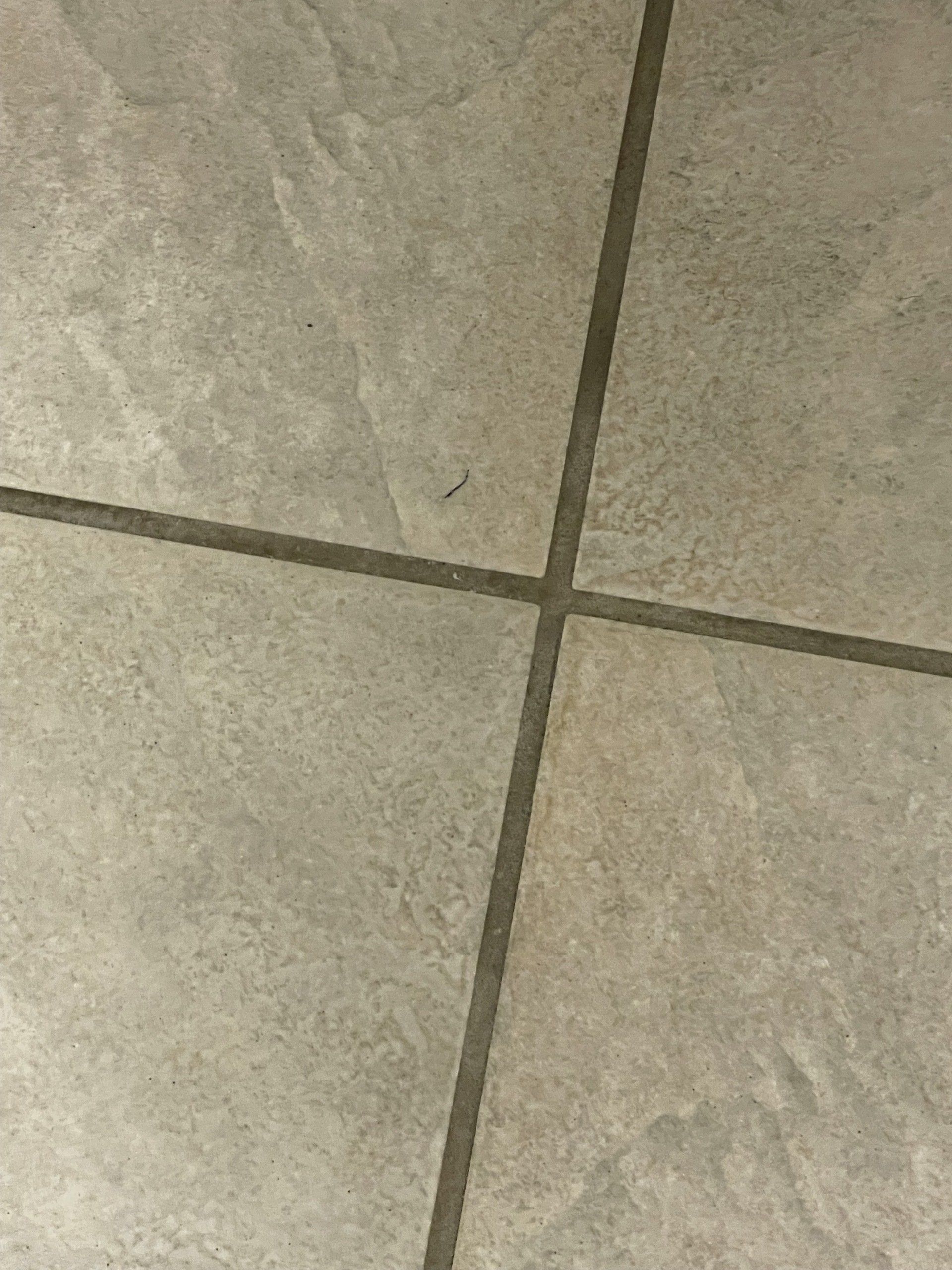 Rapid Dry Carpet Cleaning LLC