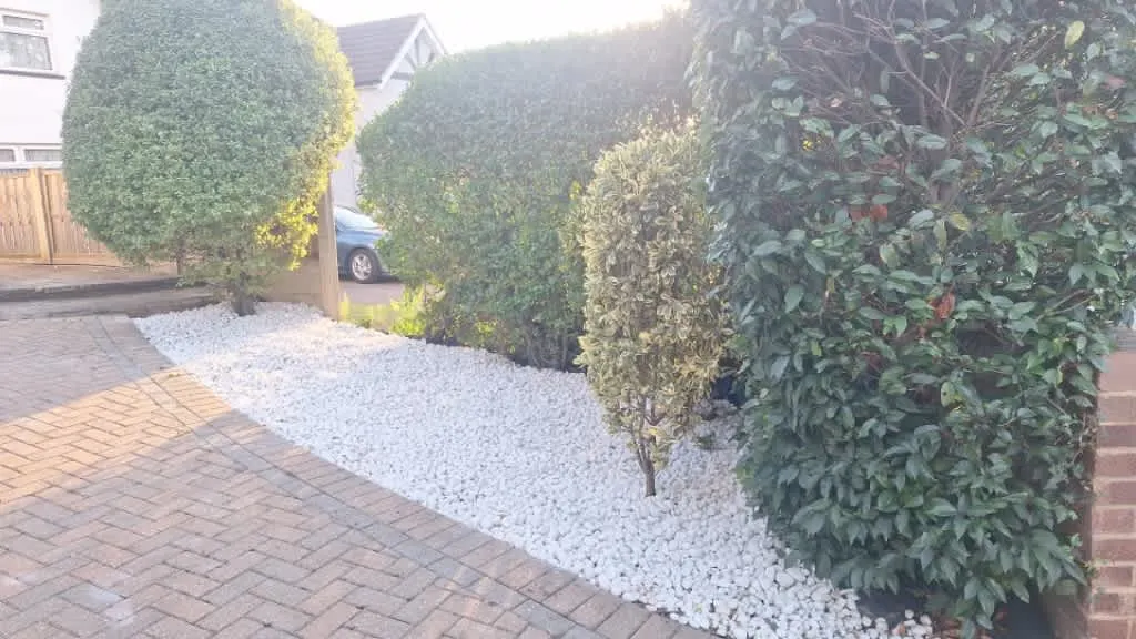 Images Garden Professionals