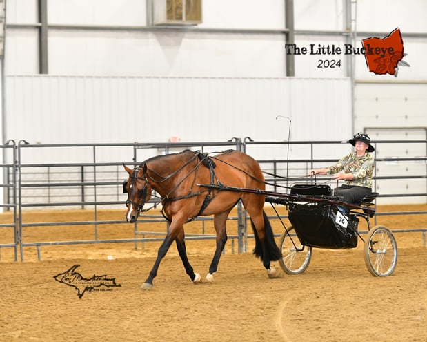 Images Garwood Arena