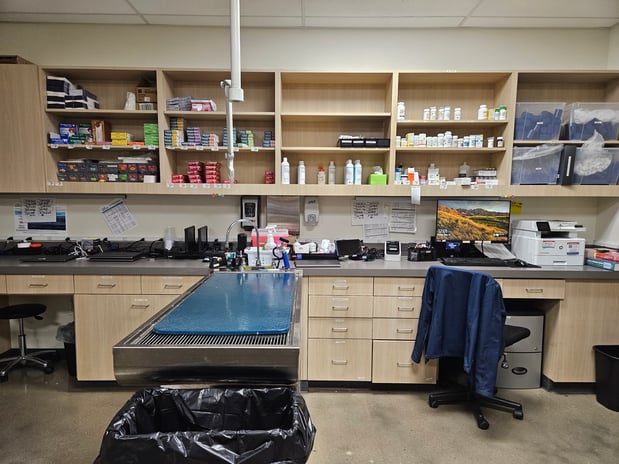 Images Vetco Total Care Animal Hospital