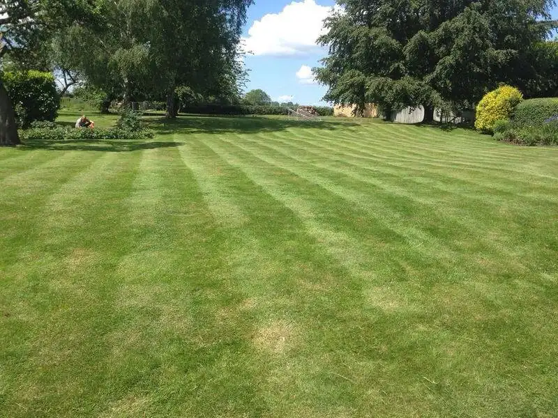 Images SN Landscaping Ltd