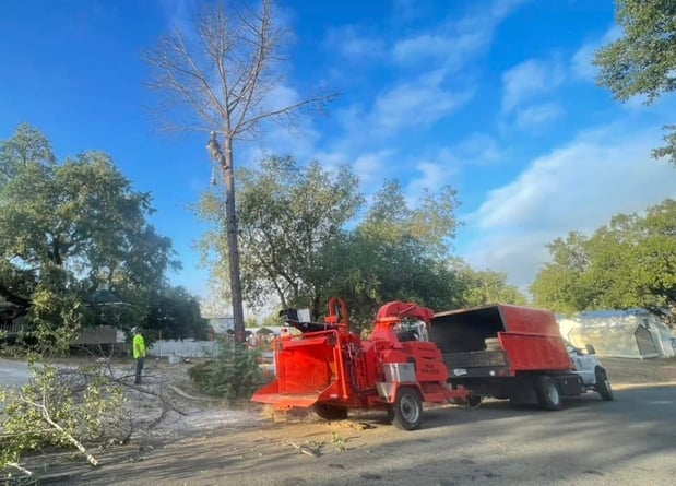 Images CBM Tree Services LLC