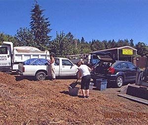 Images Double D Tree Service LLC