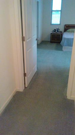 Images Masters Touch Carpet Care