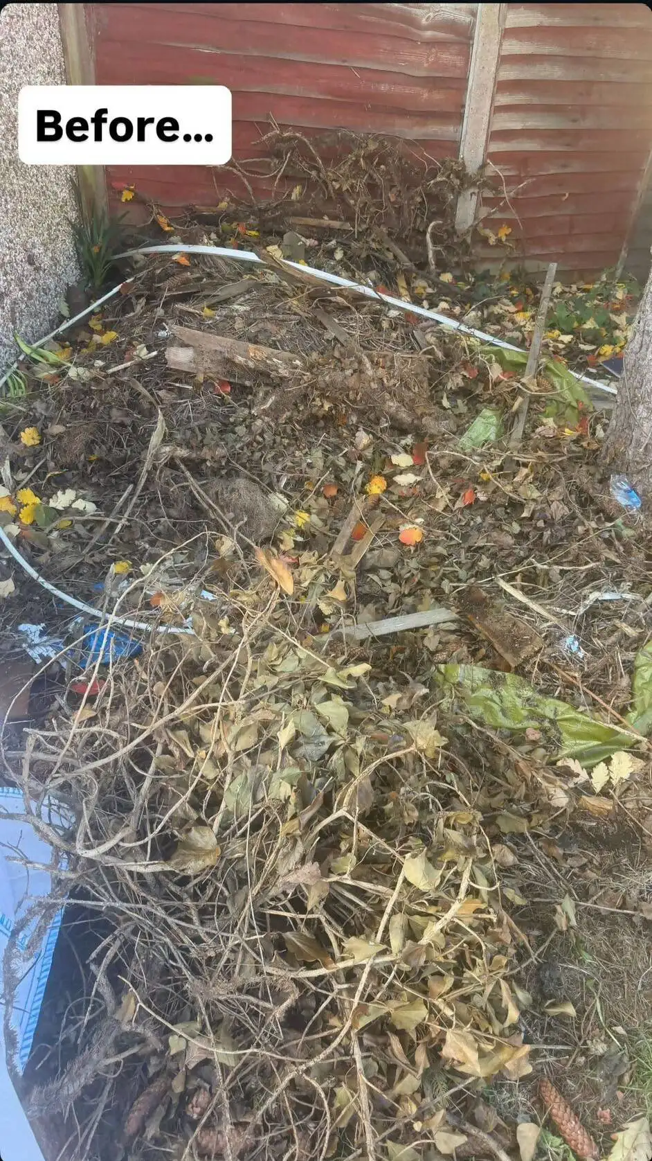 Images Bincredible Waste Solutions Ltd