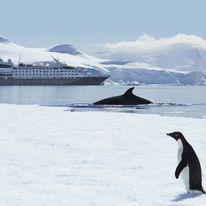 Images Magical Happenings Travel