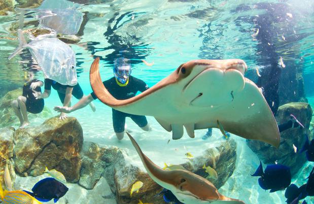 Images Staybridge Suites Orlando at Seaworld by IHG
