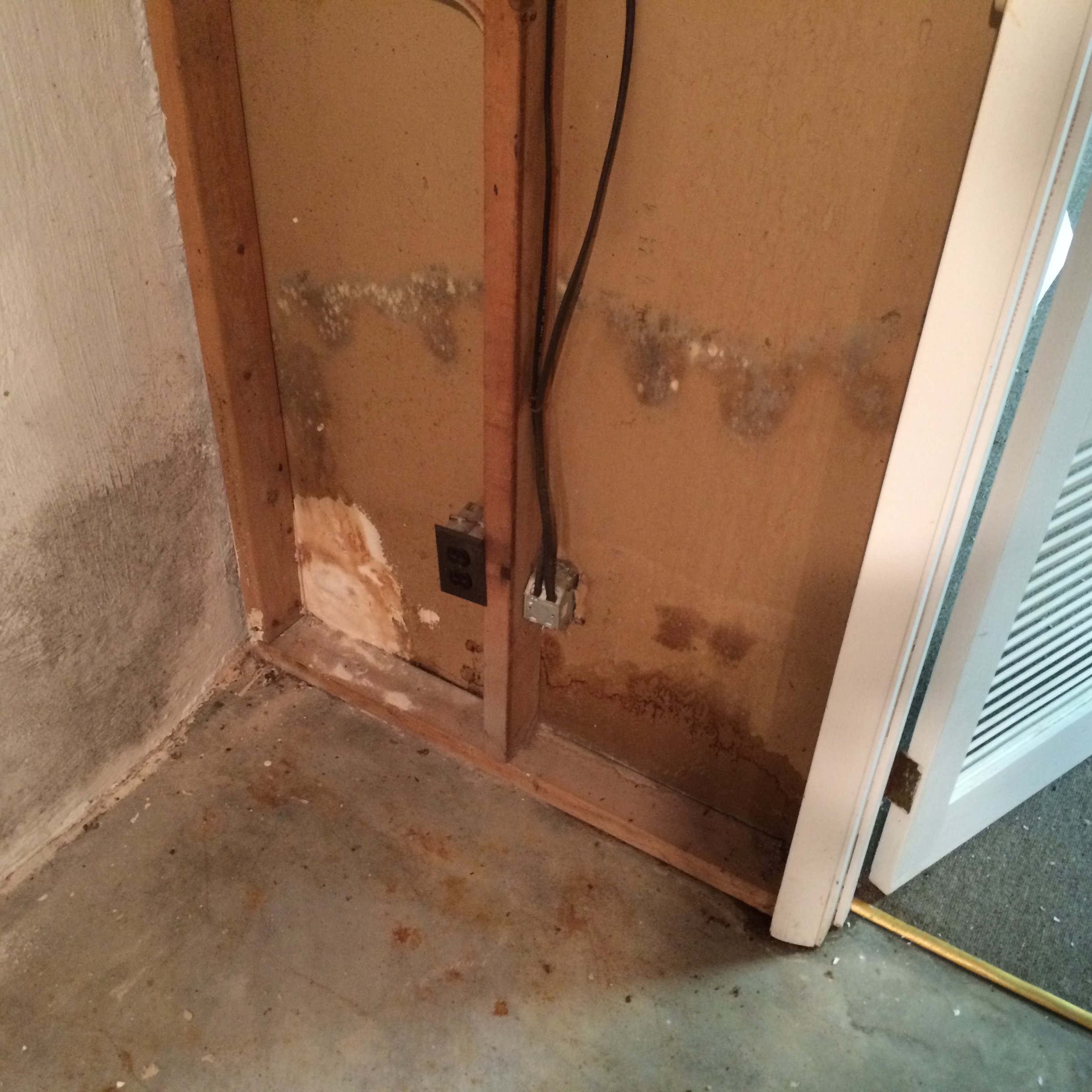 Got mold? Don't worry. SERVPRO can help with ANY size mold remediation.