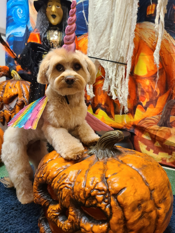 Images Aaron Starwalt - State Farm Insurance Agent