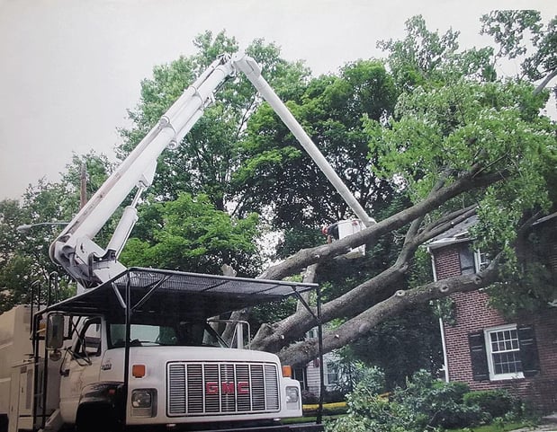 Images Shull's Tree Service Inc