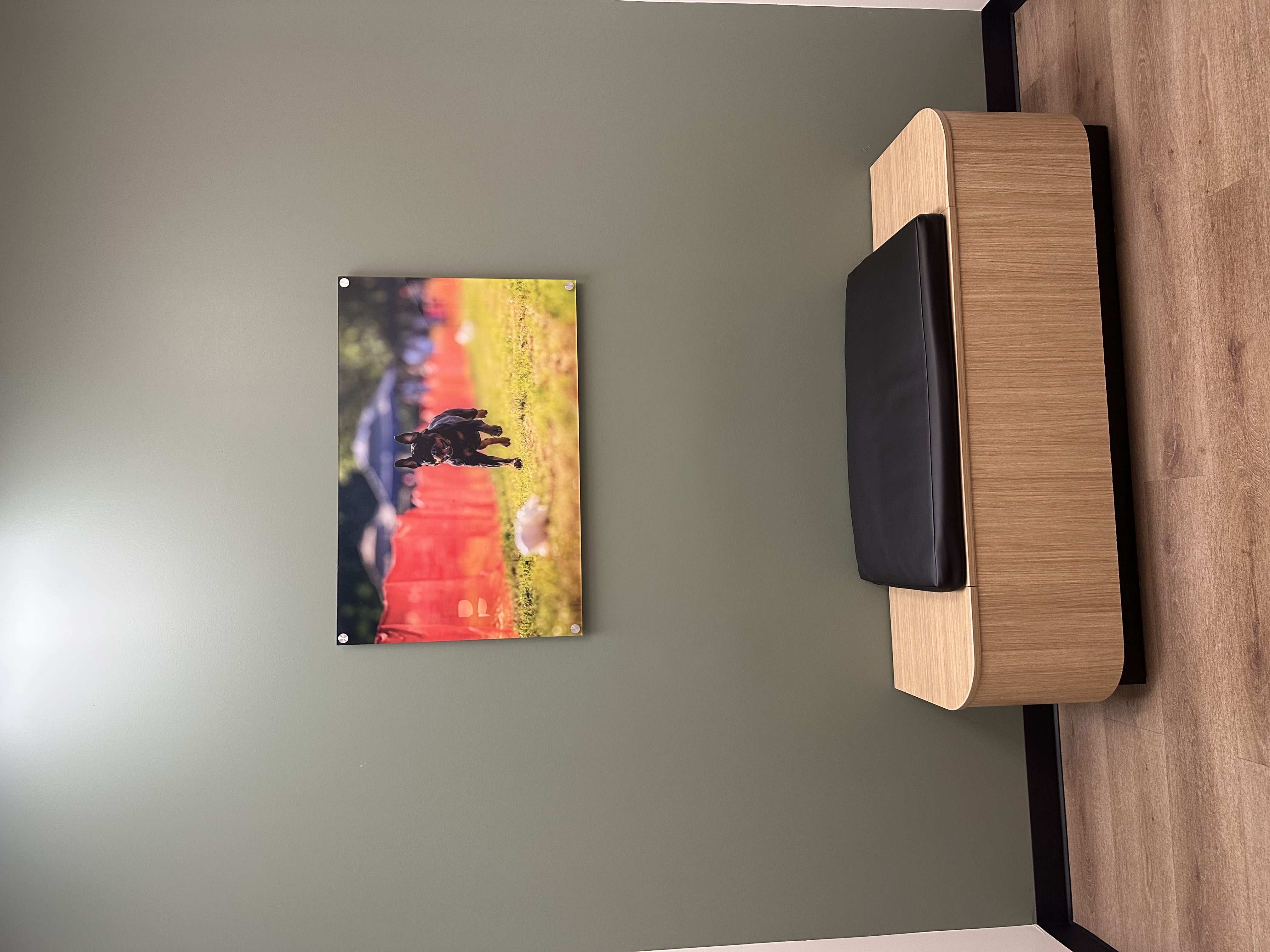 CityVet | Northlake exam room