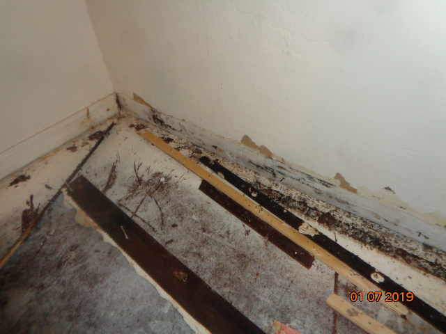 When water damage causes mold growth call SERVPRO of Peoria/W. Glendale