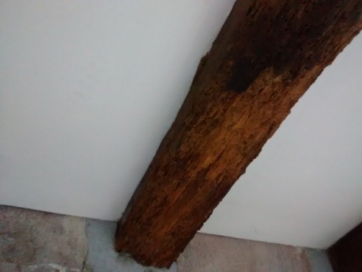 Images Desinbera
