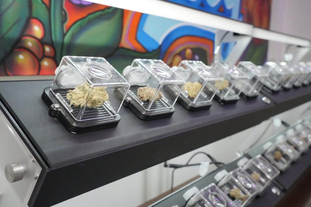 Images Jersey Leaf Dispensary