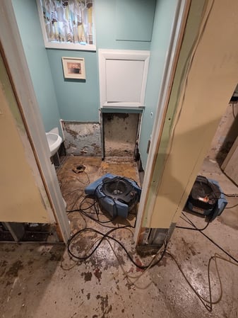 Images EZ Mitigation