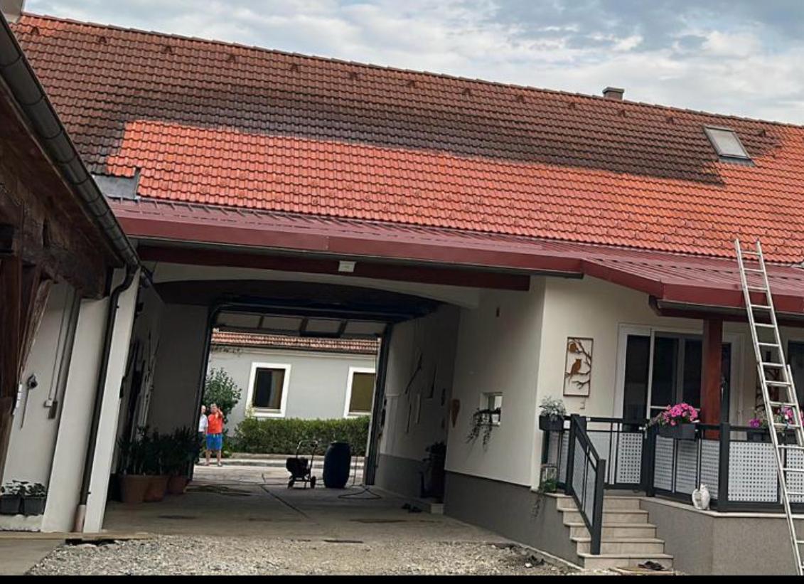 Bild 11 von Dachreinigung und Steinreinigung Cleanwerk24 GmbH