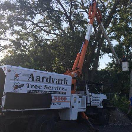 Aardvark Tree Services, LLC Photo