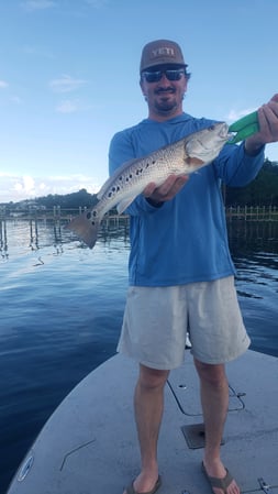 Images E-6 INSHORE FISHING ADVENTURES, LLC