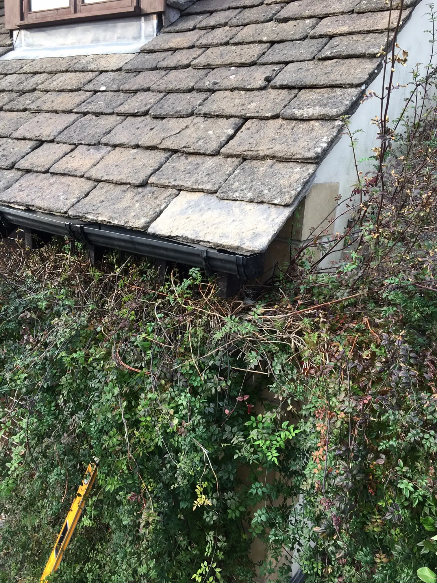 Images Gareth Shallcross