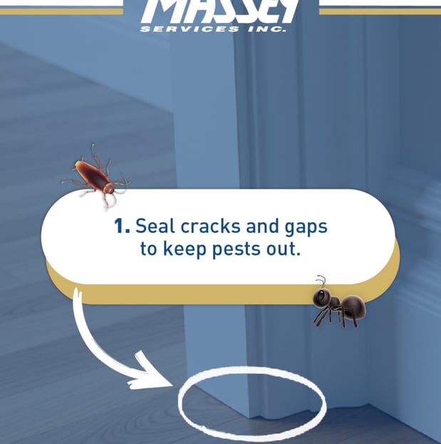 Images Massey Services Pest Control