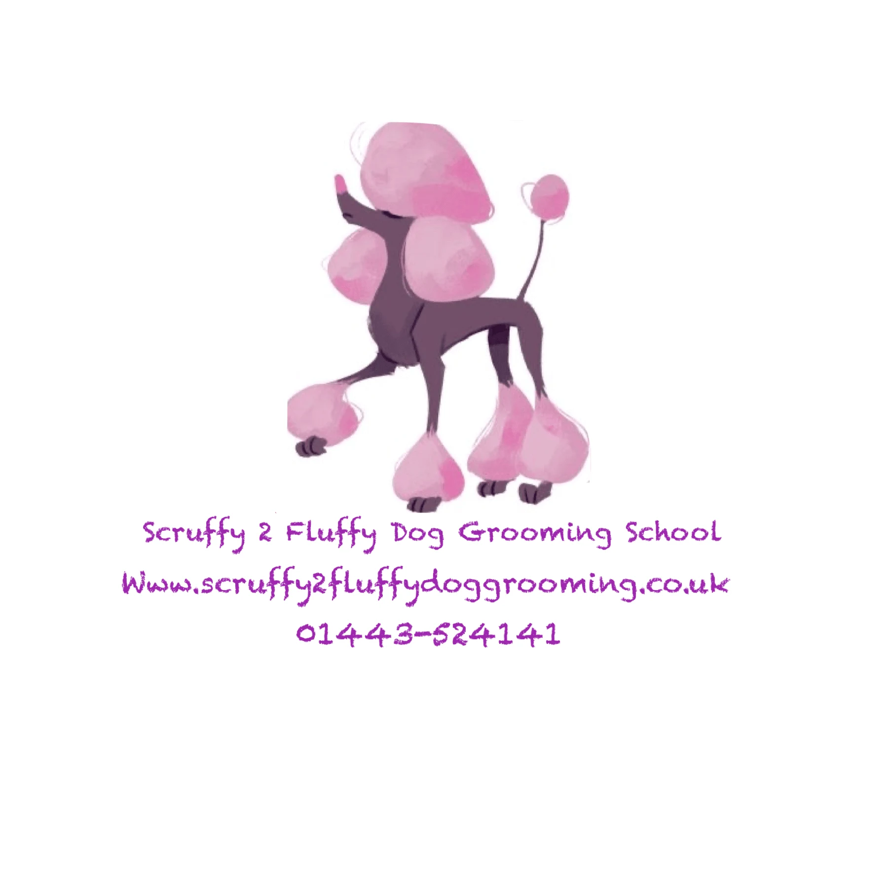 Scruffy 2 Fluffy Dog Grooming School Bargoed 01443 524141