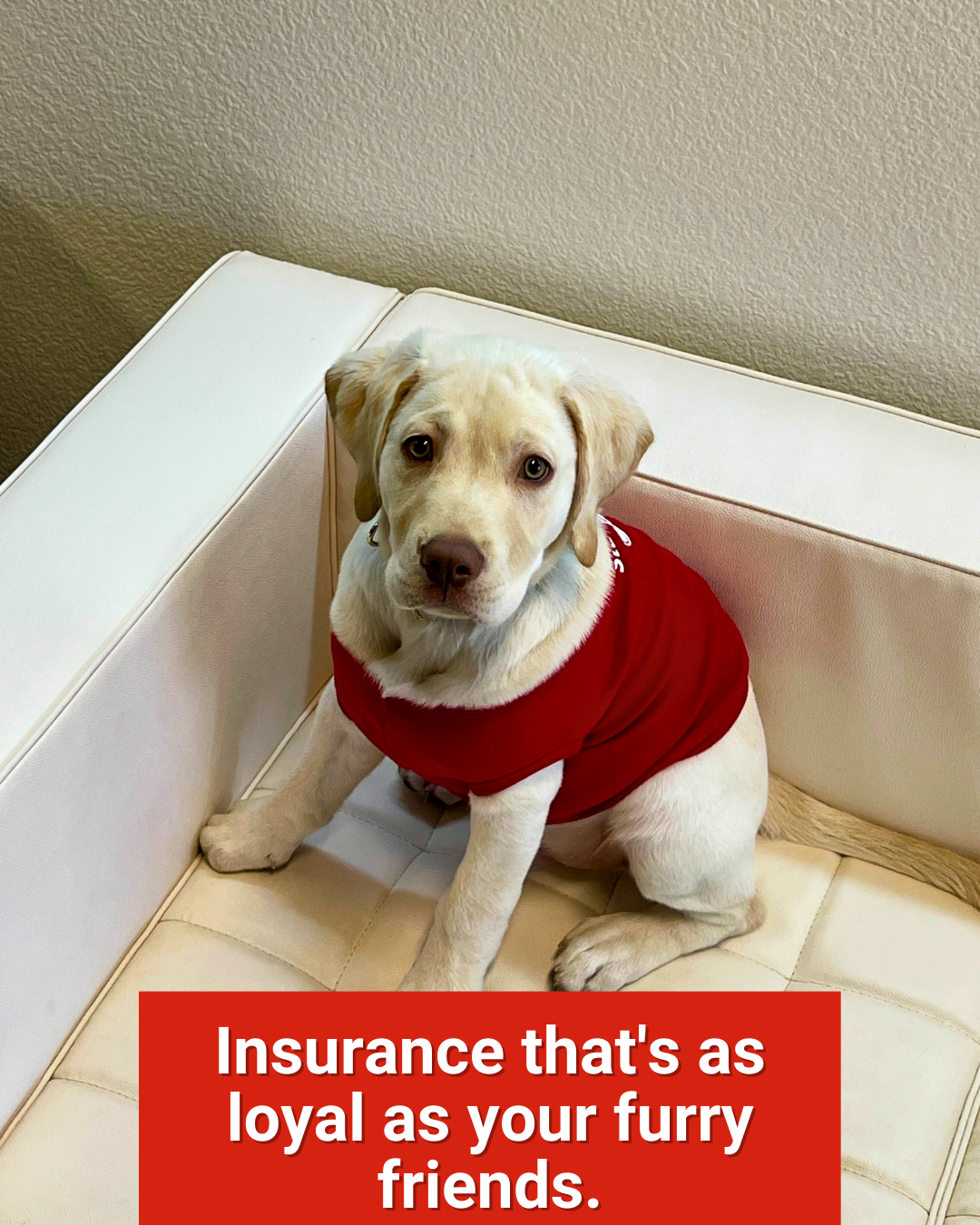 Call our  Hopkinsville office today for a free insurance quote! Michael Venable - State Farm Insurance Agent Hopkinsville (270)885-0063