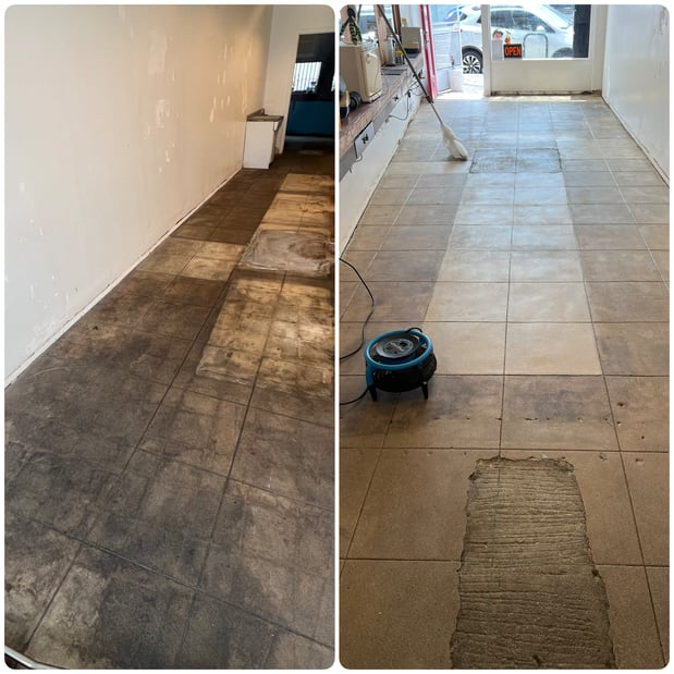 Images Magic Masters Floor Care LLC