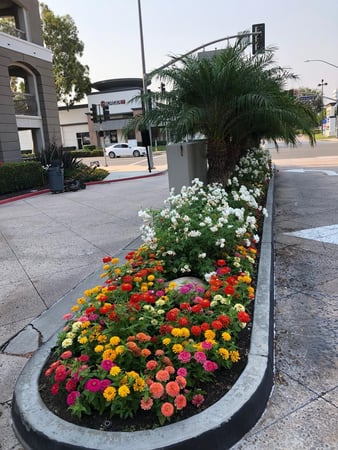 Images Centrescapes Inc