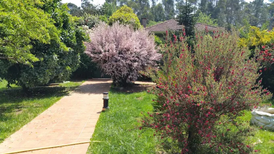 Images Vivienda de Uso Turístico Las Hortensias