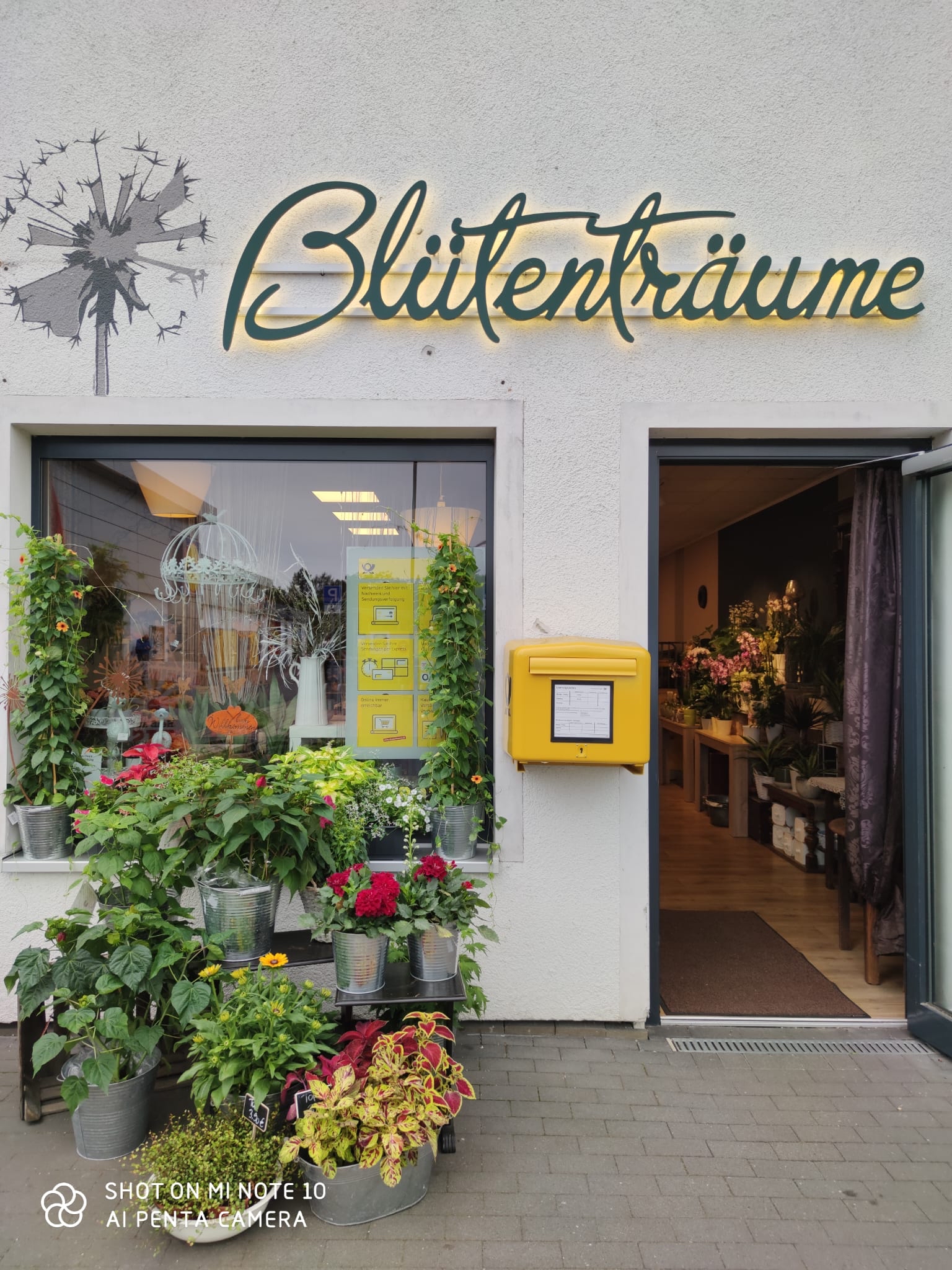 Bilder Blumengeschäft Blütenträume