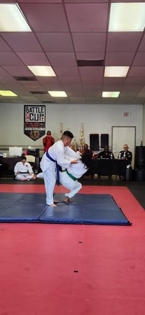 Images Jaguar Dojo