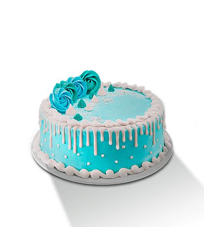 Baskin-Robbins Image