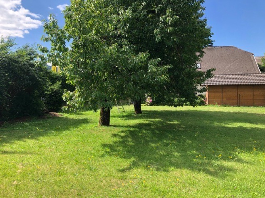 Bild 6 von M2M Immo Group – Immobilien am Wörthersee, Kärnten