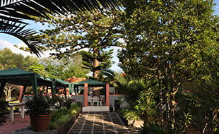 Images Parque Residencial Magnolia