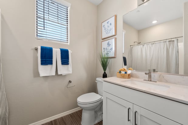 Images VLux Madison | Homes for Rent