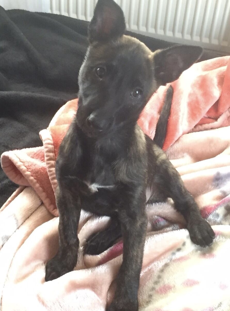 Instinkt Management, Eichener Straße 38 in Kreuztal