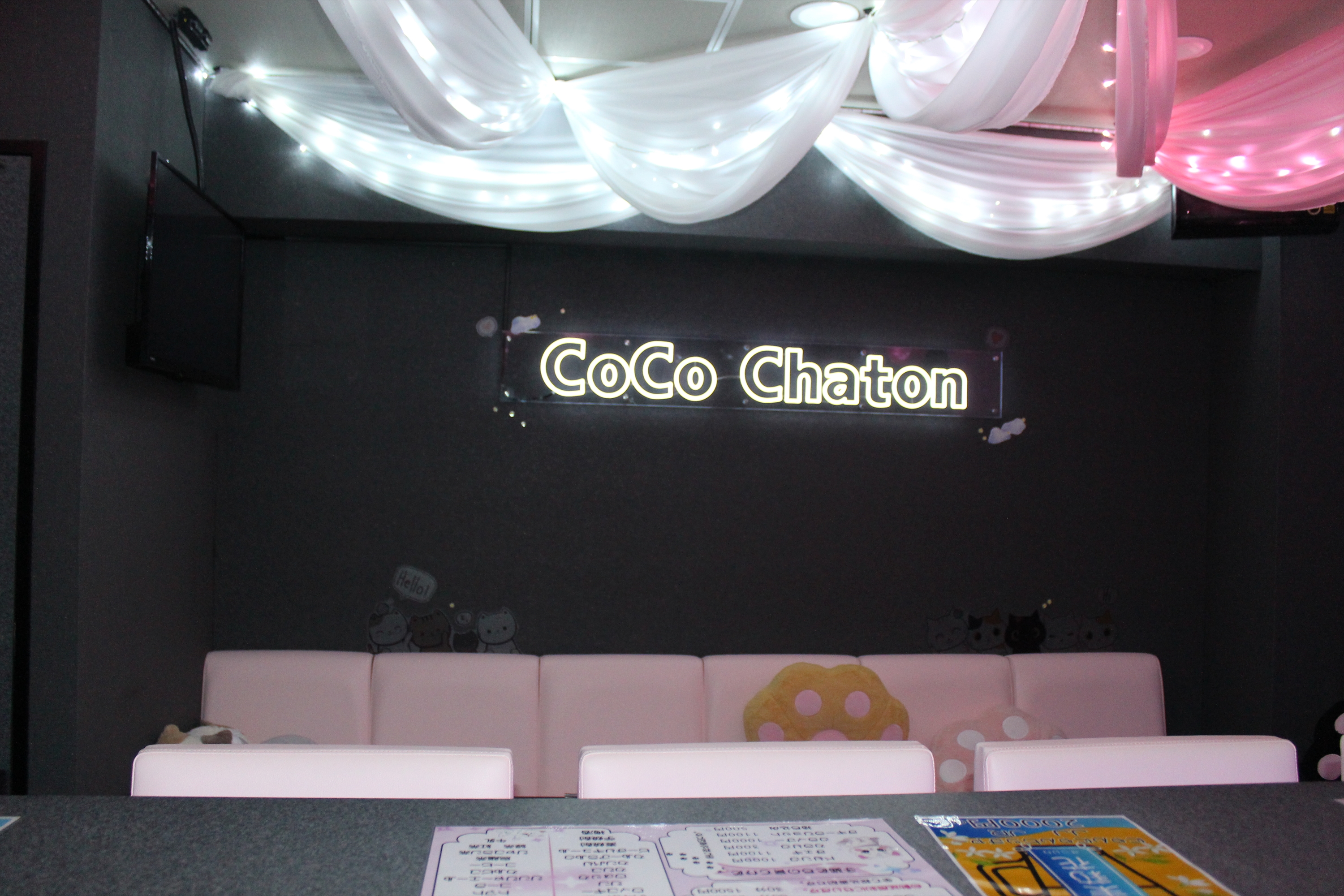 Images CoCo Chaton