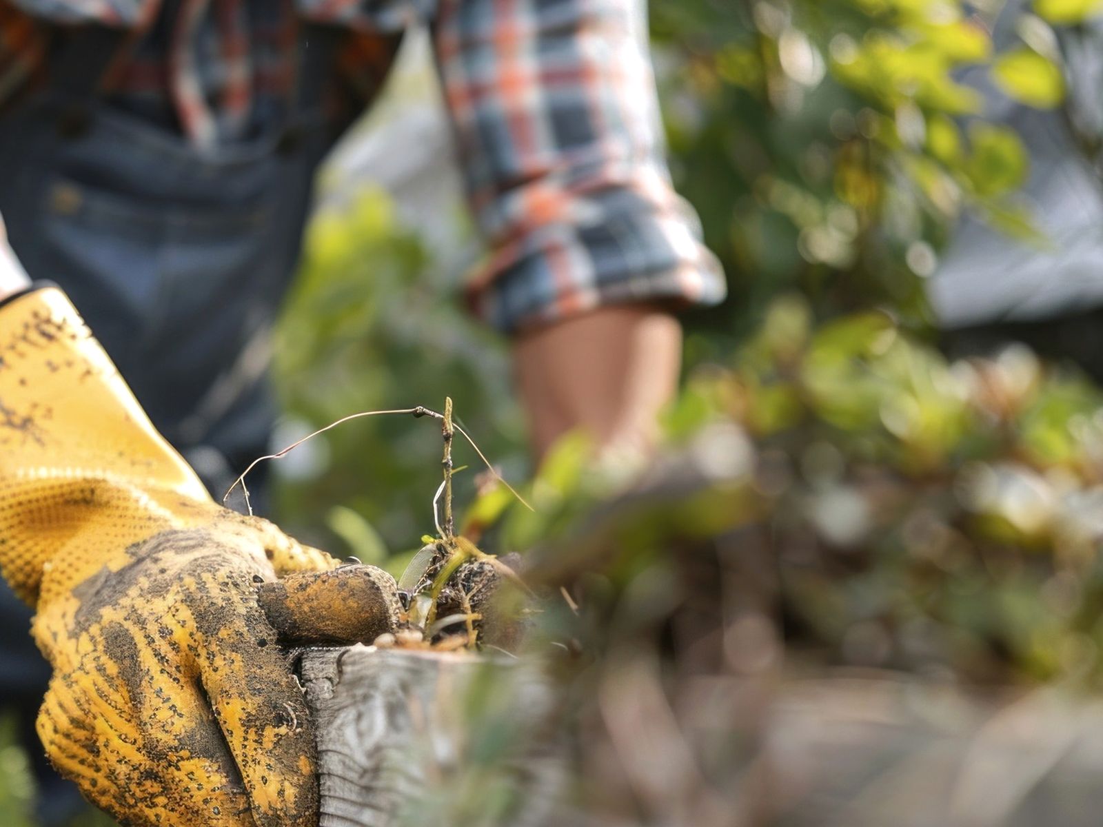 W&amp;L Tree Services &amp; Landscaping LLC Logo
