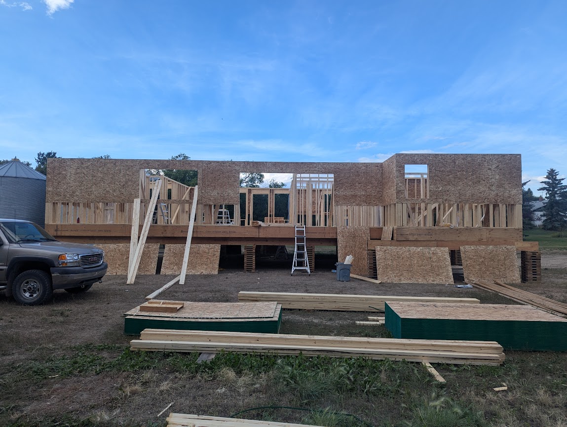 Images The Blue Spruce Builder